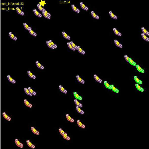 animation